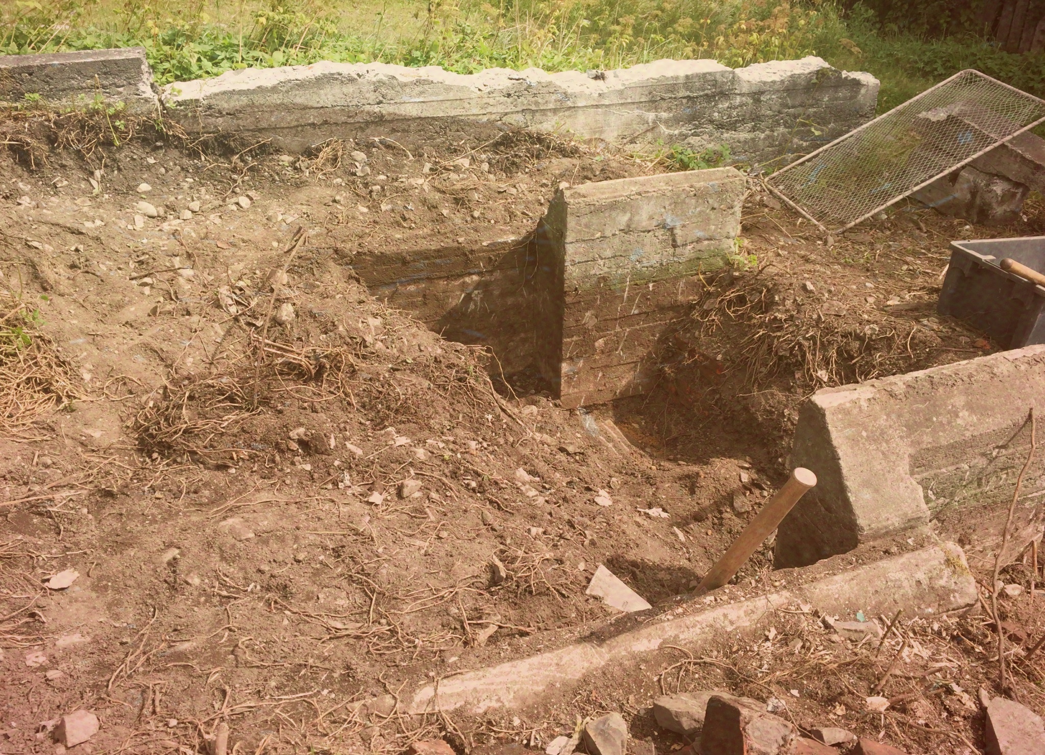 The Buried Root Cellar