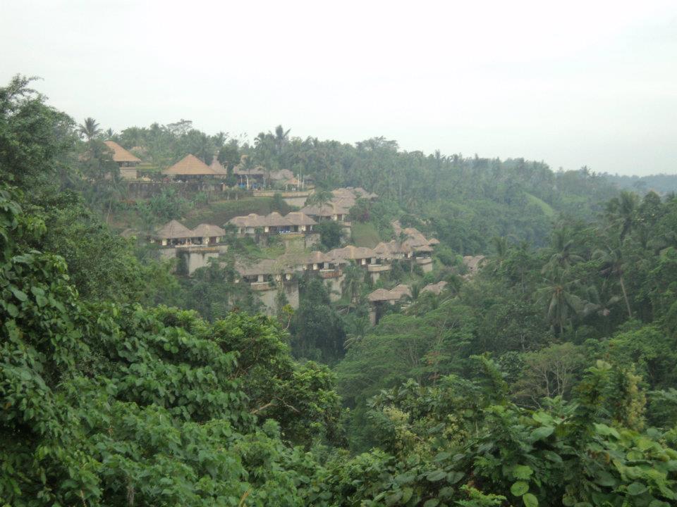Jungle Views - Alila Resort Ubud