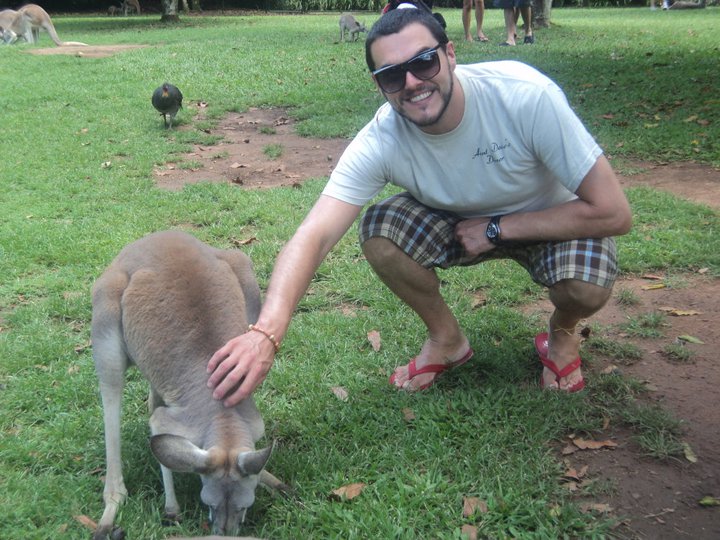 Kangaroo at Steve Irwin Zoo