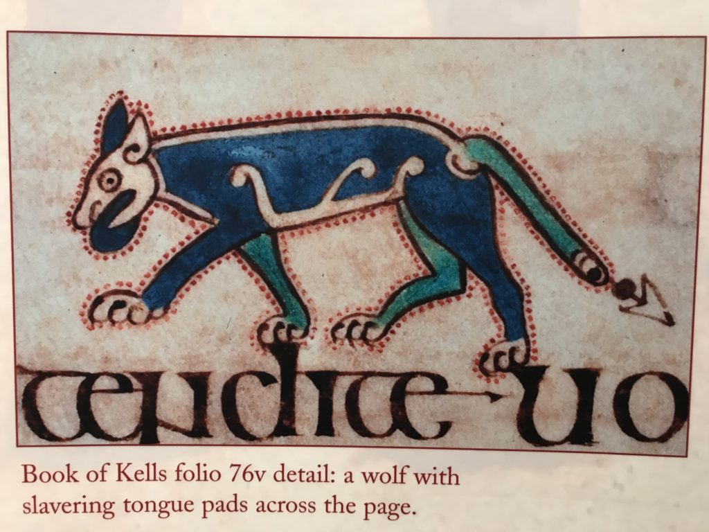 Book of Kells - Blue Wolf