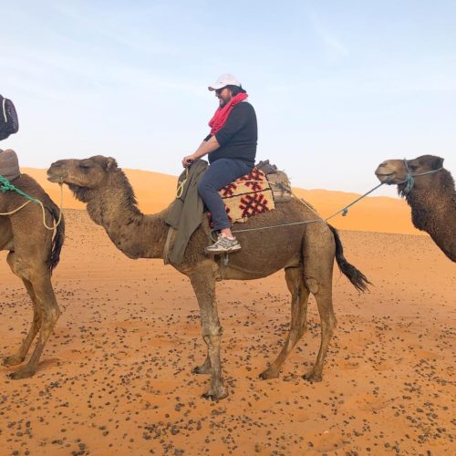 Camel Riding In Sahara Desert