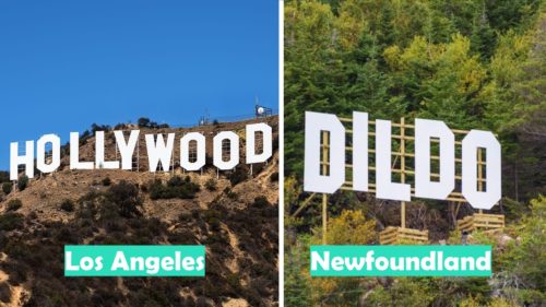 Los Angeles vs Newfoundland