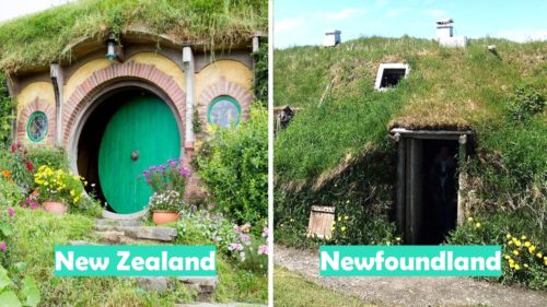 New Zealand vs Newfoundland (Hobbits vs Vikings)