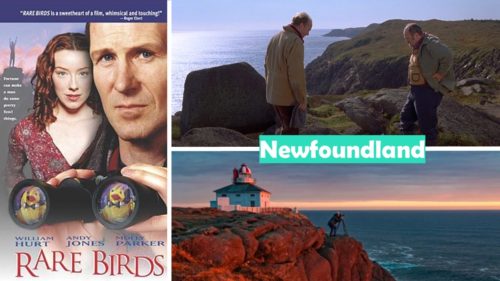 Rare Birds Movie in Cape Spear, Newfoundland