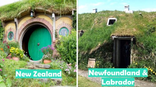 New Zealand vs Newfoundland