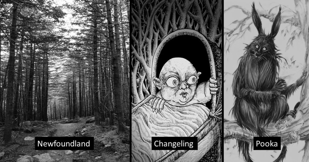 Irish Ghosts of Newfoundland - Changeling & Pooka